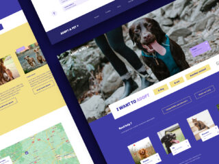 Projet UX – Interface pour faciliter l’adoption d’animaux en refuge